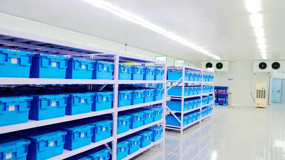 Medical Cold Storage